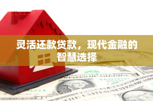 防城灵活还款贷款，现代金融的智慧选择