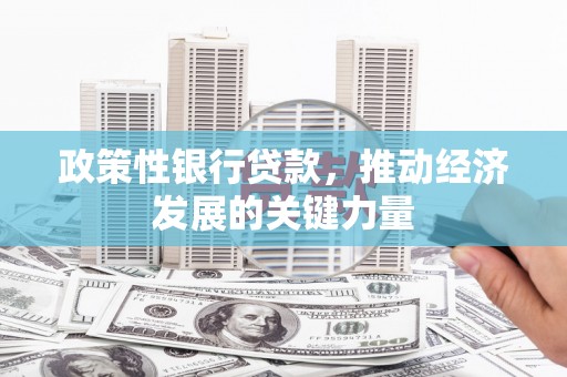 防城政策性银行贷款，推动经济发展的关键力量