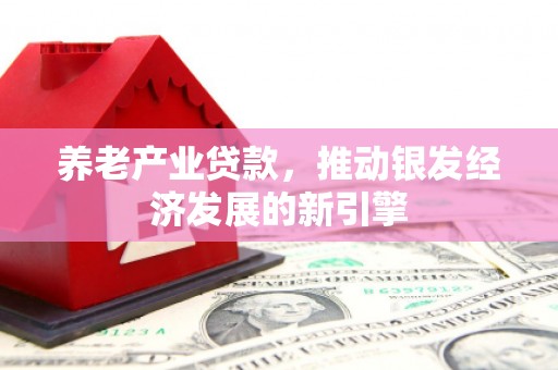 防城养老产业贷款，推动银发经济发展的新引擎