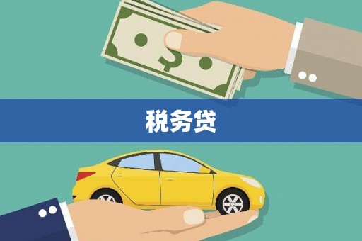 防城税务贷