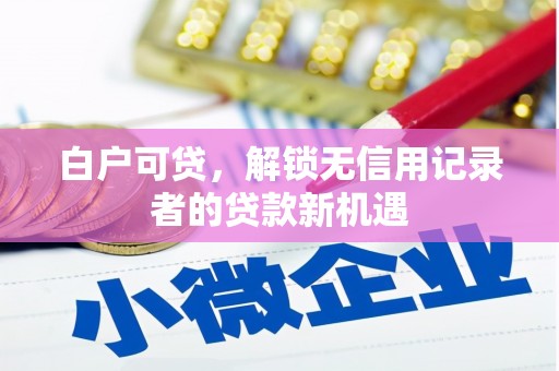 防城白户可贷，解锁无信用记录者的贷款新机遇