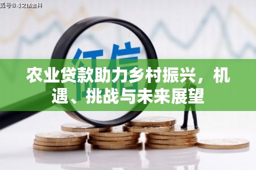 防城农业贷款助力乡村振兴，机遇、挑战与未来展望