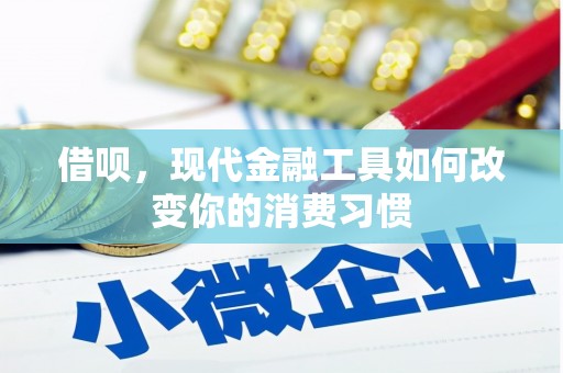 防城借呗，现代金融工具如何改变你的消费习惯
