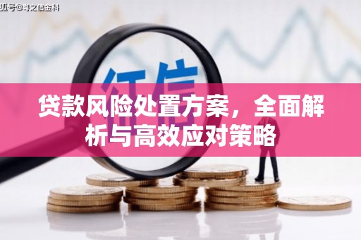 防城贷款风险处置方案，全面解析与高效应对策略