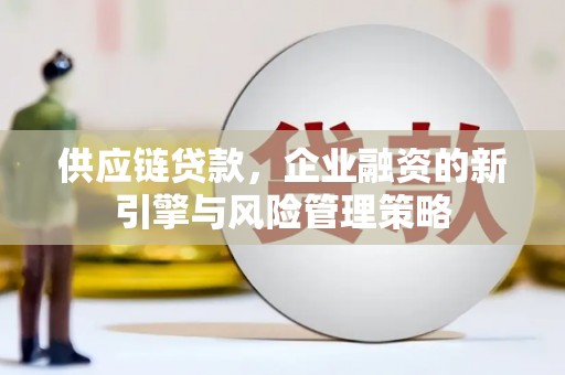 防城供应链贷款，企业融资的新引擎与风险管理策略