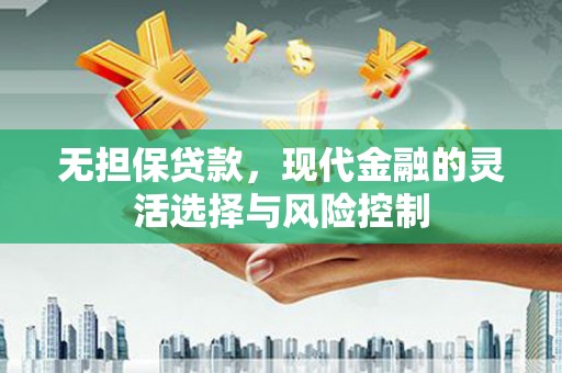 防城无担保贷款，现代金融的灵活选择与风险控制