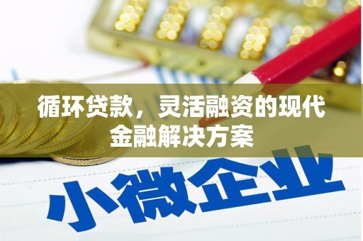 防城循环贷款，灵活融资的现代金融解决方案