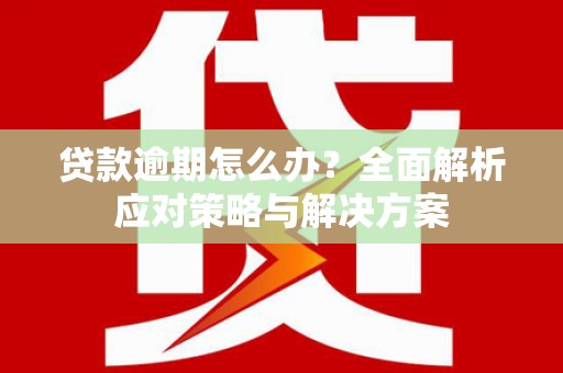 防城贷款逾期怎么办？全面解析应对策略与解决方案