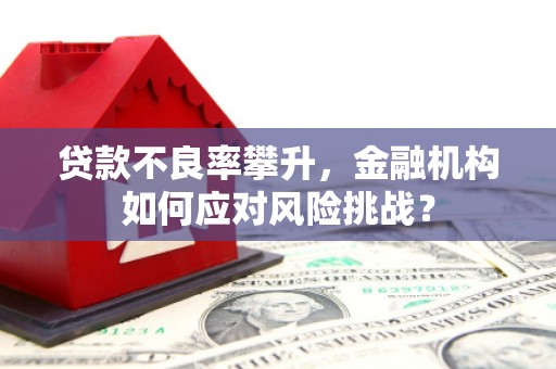 防城贷款不良率攀升，金融机构如何应对风险挑战？