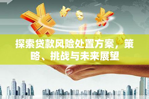 防城探索贷款风险处置方案，策略、挑战与未来展望