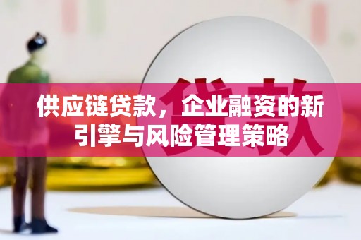 防城供应链贷款，企业融资的新引擎与风险管理策略