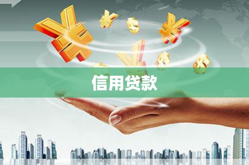 防城信用贷款