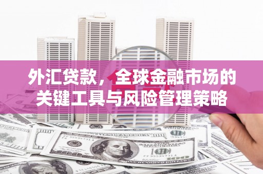 防城外汇贷款，全球金融市场的关键工具与风险管理策略