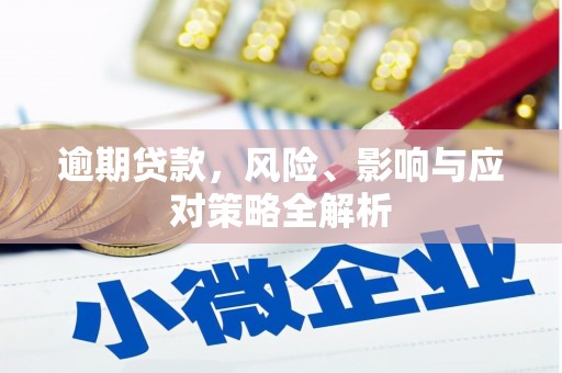 防城逾期贷款，风险、影响与应对策略全解析