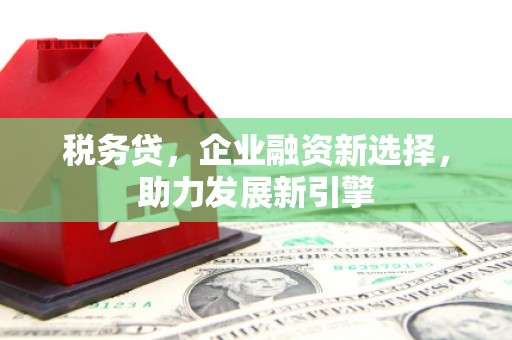 防城税务贷，企业融资新选择，助力发展新引擎