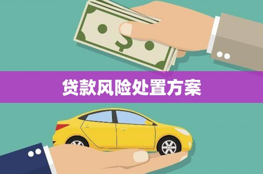 防城贷款风险处置方案