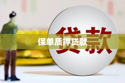 防城保单质押贷款