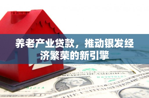 防城养老产业贷款，推动银发经济繁荣的新引擎