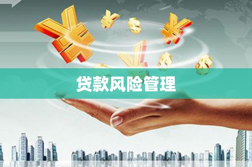 防城贷款风险管理
