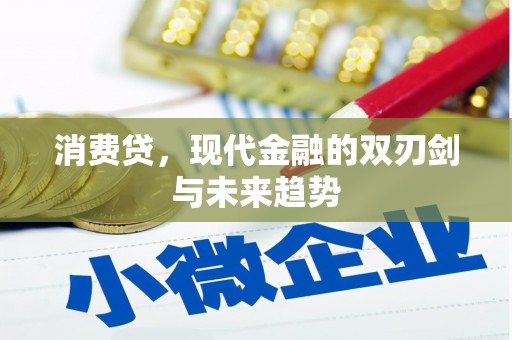 防城消费贷，现代金融的双刃剑与未来趋势