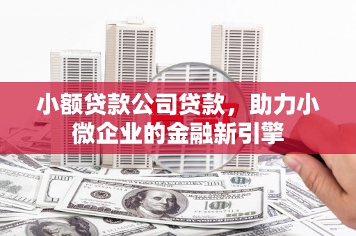 防城小额贷款公司贷款，助力小微企业的金融新引擎