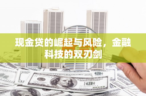 防城现金贷的崛起与风险，金融科技的双刃剑