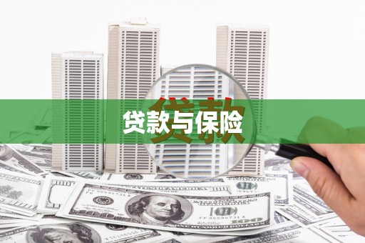 防城贷款与保险