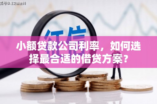 防城小额贷款公司利率，如何选择最合适的借贷方案？