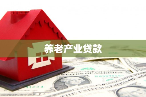 防城养老产业贷款