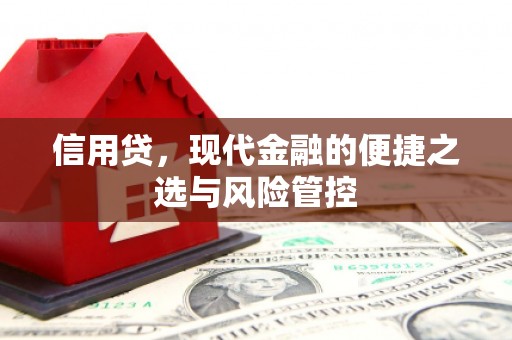 防城信用贷，现代金融的便捷之选与风险管控