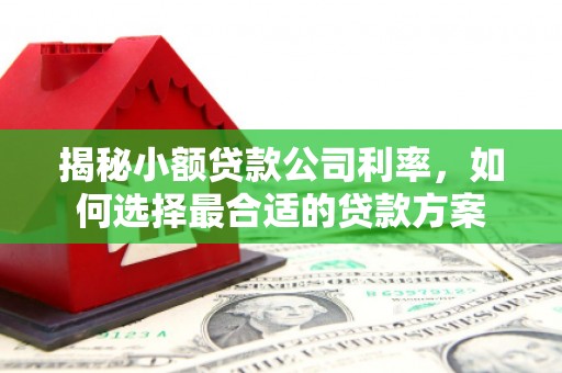 防城揭秘小额贷款公司利率，如何选择最合适的贷款方案