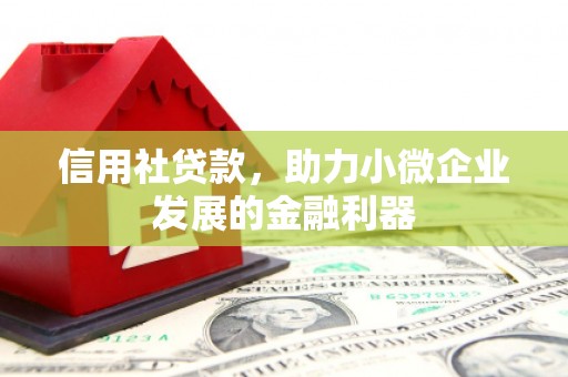防城信用社贷款，助力小微企业发展的金融利器