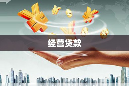 防城经营贷款