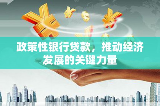 防城政策性银行贷款，推动经济发展的关键力量