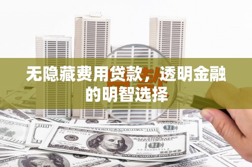 防城无隐藏费用贷款，透明金融的明智选择