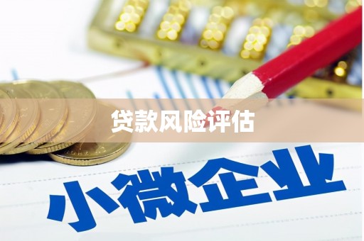 防城贷款风险评估