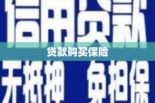 防城贷款购买保险