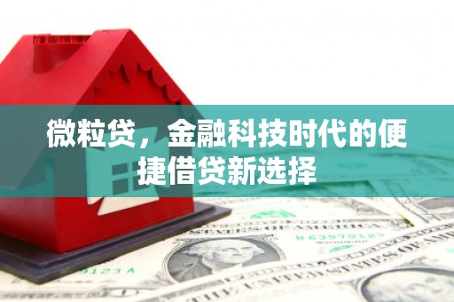 防城微粒贷，金融科技时代的便捷借贷新选择