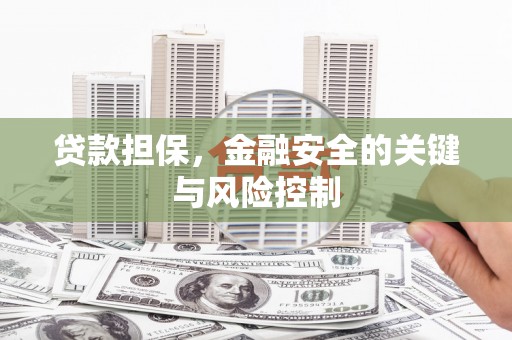 防城贷款担保，金融安全的关键与风险控制