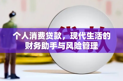 防城个人消费贷款，现代生活的财务助手与风险管理