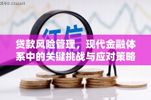 防城贷款风险管理，现代金融体系中的关键挑战与应对策略