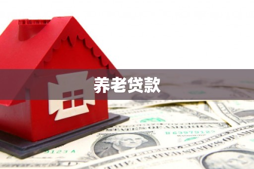 防城养老贷款