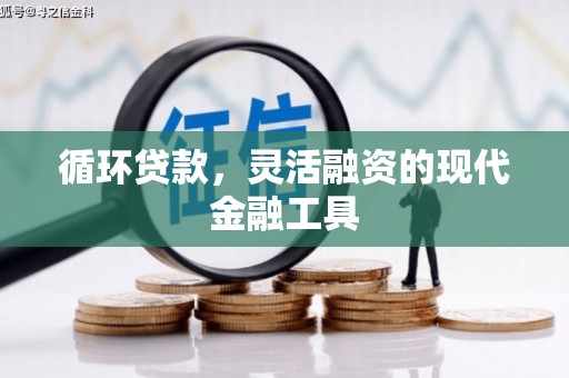 防城循环贷款，灵活融资的现代金融工具