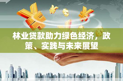 防城林业贷款助力绿色经济，政策、实践与未来展望