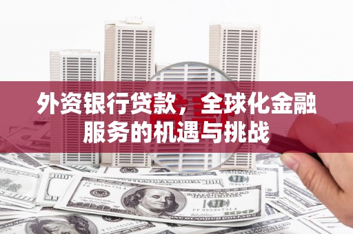 防城外资银行贷款，全球化金融服务的机遇与挑战
