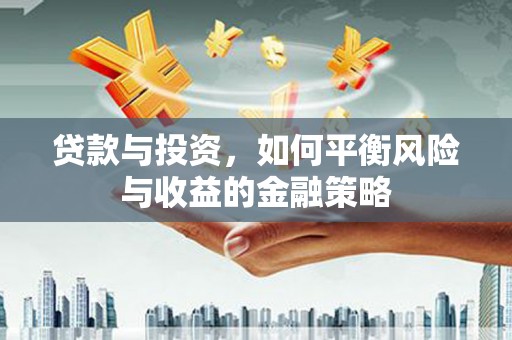 防城贷款与投资，如何平衡风险与收益的金融策略